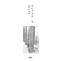 만수동 돌의 노래:하봉규 시집, 황금알, 하봉규