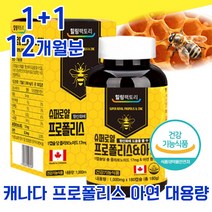 식약처 식약청 인정 인증 캐나다 아연 프로 플로 폴리 폴라 포 폴리스 포리스 항산화 면역력 캡슐 좋은 음식 식품 프라 플라 보노이드 바이오 면연력 남성 여성 여자 중년 40대, 1+1 12개월분 - 다니마켓