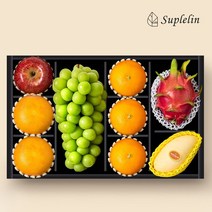 인정식탁 명절 후 배송수플린 프리미엄 혼합과일 9입 선물세트(용과골드망고) -인증