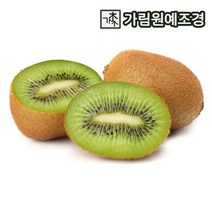 키위나무 유실수 키위 가림원예조경, 그린키위(대목 바운터71), 1개