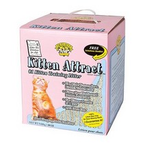 바보사랑 프레셔스캣 모래 캣어트랙트 키튼 9.07kg.스토어봄