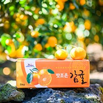 [제주땡큐베리팜] 농장직송 햇 노지감귤 3kg 5kg ( 2S/S/M/L ), 1세트, 감귤 3kg(로얄과 S/M)