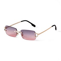 이효리 선글라스 패션 여성 디자이너 blue rimless 직사각형 2021 메탈