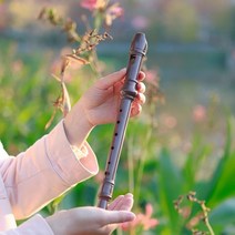 피리 팬플룻 리코더 8 홀 플루트 수지 뮤지컬 flauta 악기 레코더 긴 초보자 플루트 목관 악기 어린이 선물 청소 스틱, 갈색