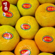 [당도선별] 프리미엄 고당도 제주 하우스 감귤, 로얄과5kg, 1개