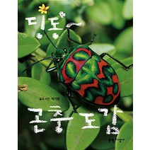 딩동 곤충도감 - 박지환, 단품, 단품