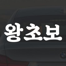 어른킹 빅사이즈 왕초보 D타입 포인트 컬러 데칼 스티커 자동차 드레스업 익스테리어 방수 시트지, D타입- 경차/RV(75x27cm) -오렌지