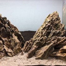 황호석 3kg