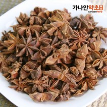 가나안약초 수입산 팔각회향, 300g, 1개