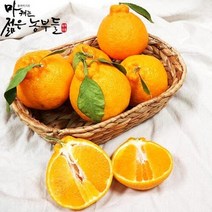 [마캐는젊은농부들]영파머스몰 제주 서귀포 산지직송 한라봉(가정용) 고당도 5kg 10kg 제철과일, 한라봉 (가정용 소/중과) 5kg.