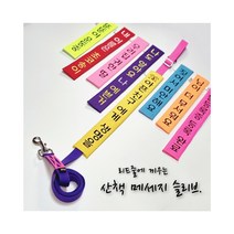 (초코송이네 커스텀)강아지 산책 메세지 슬리브, 15