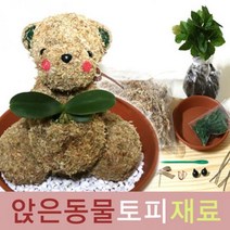 큰나무상사 앉은동물 토피어리재료 풍난 토피어리 잔디인형, 1개