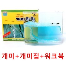 살아있는 개미가 포함된 개미키우기세트-개미집+개미+워크북/개미탐험/어린이집 유치원 단체선물, 1세트