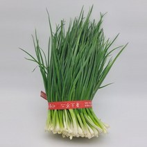 깐 쪽파 1kg 국내산 생 손질 깐파 1단 판매 열매드림