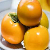 [춘식이네천기농장] 창원 산지직송단감 5Kg, 5Kg (18-20과)