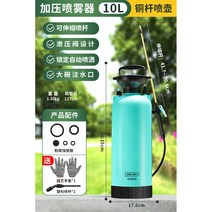 고압 압축 농약분무기 살포기 농약 분사기 소형 소독전용, 10L 업그레이드/전동 신축 노즐/베이스 포함