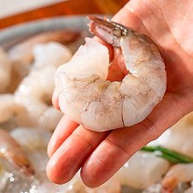 새우철 프리미엄생 칵테일 1kg 감바스, 칵테일새우 (21/25) 대
