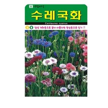 SN월드 야생화 씨앗 꽃씨앗 모음, 야생화 - 수레국화(500립)