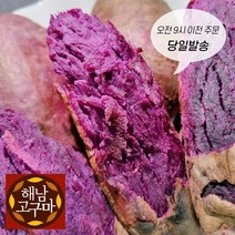 (백프로 품질보증제) 해남 자색 고구마, 특상, 10kg