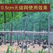 양계망 울타리망 과수원 닭망 새망 능형망 휀스, 폭 3m 길이 5m의 0.5cm 메쉬