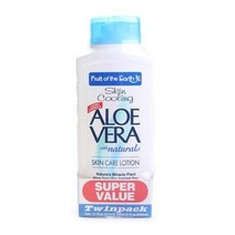 프루트오브더얼스 스킨 쿨링 알로에 베라 스킨 케어 로션, 325ml, 1개