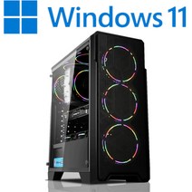 [왕가PC]WGCP 윈도우11 탑재 데스크탑 3D게임용 배그 풀옵션 게이밍 조립컴퓨터 롤 오버워치2 로스트아크 국민옵션부터 풀옵션 조립PC, 05. SSD 512GB + RAM 16GB 변경, 게이밍 19