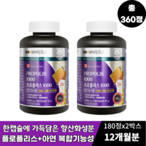 캐나다 프로폴리스 1000 180캡슐 (6개월분), 2개, 180정