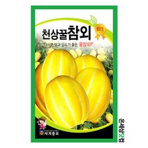 천상꿀참외 30립 / 첨외씨앗 참외씨 열매채소 씨앗 과일채소