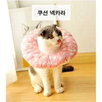 [켈리] 고양이 강아지 중성화수술 상처보호 쿠션넥카라, 노랑여우