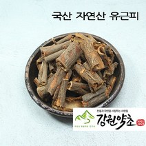 국산 자연산 유근피 300g 유근피 즙 느릅나무 뿌리 껍질 느릅나무 유근피 작두콩 유근피분말, 작두콩300g