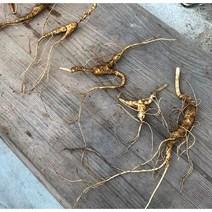 아리랑산양산삼 9-12년근 파삼 7뿌리 산삼 산양산삼 산양삼 부모님선물 명절선물 추석 설선물 자연산 산삼 산양삼선물 건강증진 원기회복 자체재배관리 직접채심발송