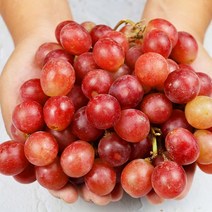 고당도 크림슨포도 2kg, 없음