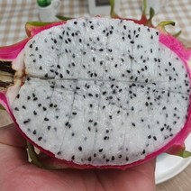 하얀 용과 1kg (2-3과), 상세 설명 참조