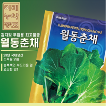 23년산 월동춘채 씨앗 25g- 유채나물 시나나빠 하루나