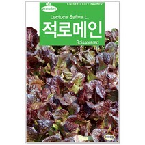 베이비 적로메인씨앗 3000립 베이비채소씨앗 (C0207)