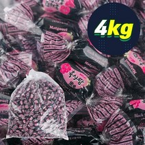 맛고을 흑사탕(H) 4kg/대용량/대용량사탕/대용량캔디/디저트사탕 식품 > 스낵/간식 초콜릿/사탕/젤리/껌 캔디류 일반하드캔디, G051_맛고을 흑사탕(H) 4kg, 1봉, 4kg” class=”wr-img”></a></div></div></div></div><div class=