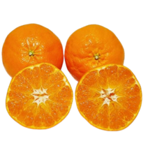 제주도 고당도 레드향 가정용 선물용 3kg 5kg, 대과3kg