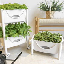 우리집 베란다 마당 옥상 텃밭 저면관수 2단 화분, 1단 투명