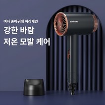 속건고출력전기드라이어 호텔 가정용 전기 드라이기 헤어케어속건드라이어, 화이트(음이온 없음)