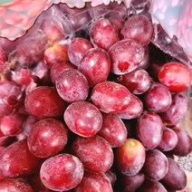 크림슨 포도 1팩 (800g) / 1박스 씨 없는 고당도 포도 달달한 맛있는 과일 수입 페루산 블랙 사파이어 크린슨 껍질째 먹는 거봉 캔디 아도라 애플 청 적 포도 퍼도 선물 세트, 1박스(10팩-8.2kg)