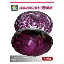 (씨앗) 적양배추 - 크라운레드(붉은)양배추 - 양배추 종자 - 소포장 가정용 텃밭재배용 - 100립