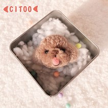 펠트도안 (풍성한 재료세트)양모펠트 DIY테디베어 자동차에걸기 입문자 선물, T08-베이지색 푸들 재료가방(불포함 공구)