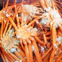 가성비 구룡포 앞바다 B급 홍게 3kg(살수율 60-80%)