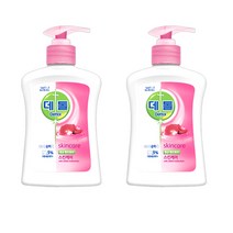 데톨 항균 핸드워시 스킨케어 250ml X 2개