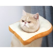 AUMSE 어뮤즈 반려동물 강아지 고양이 부드러운 식빵 넥카라 보호대