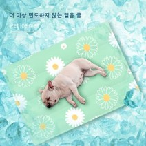 여름 애완 동물 아이스 매트 개 고양이 잠자는 매트, 아보카도