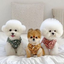 고양이김장조끼 깔깔이 강아지 할매옷 꽃무늬 베스트, 그린조끼