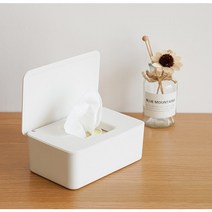 물티슈 커버 케이스 마스크 보관함, 화이트