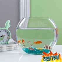 둥근유리어항 금붕어 구피 데스크탑, 40cm 가운데 지름