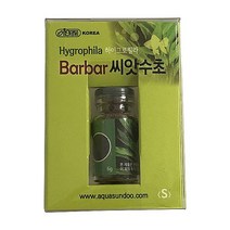 (ABM도매콜) 하이그로필라 바바씨앗 수초(S), 상세페이지 참조
